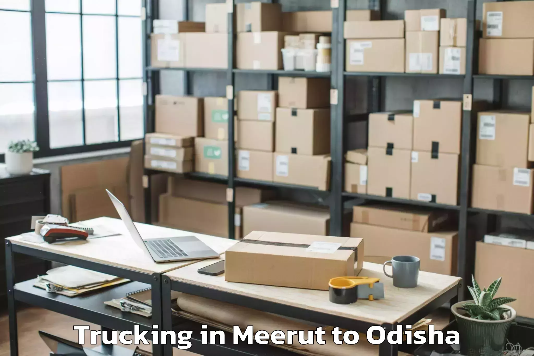 Leading Meerut to Tikabali Trucking Provider